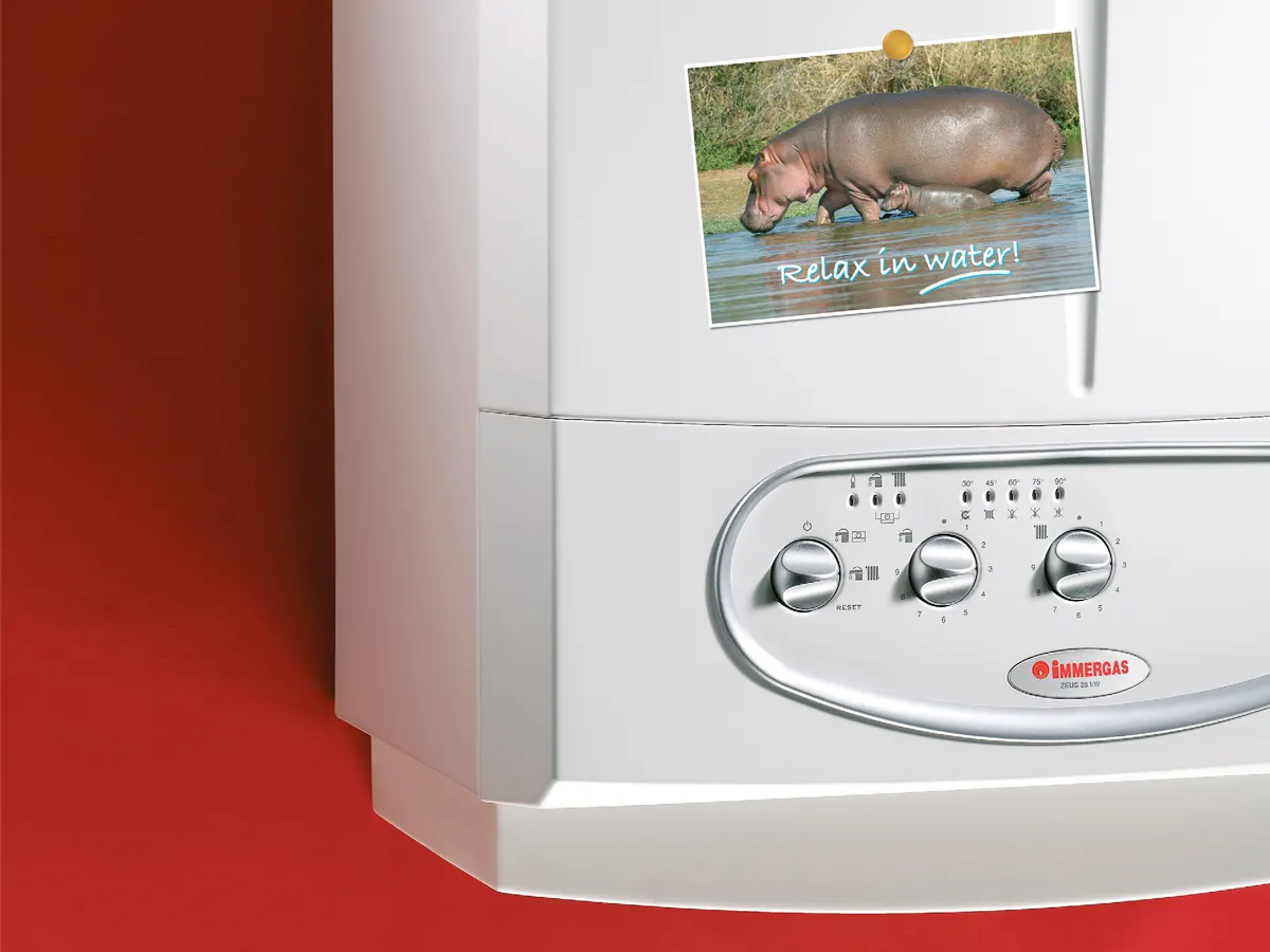 Cazan pe gaz clasic IMMERGAS Zeus 24 kW