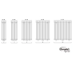 Radiator design GORGIEL IBERIS V AIB V