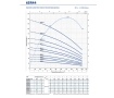 Poma submersibila Pedrollo 6SR44/9-PD
