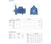 Pompa electrica centrifuga Pedrollo CPm 160B (CPm25/160A)