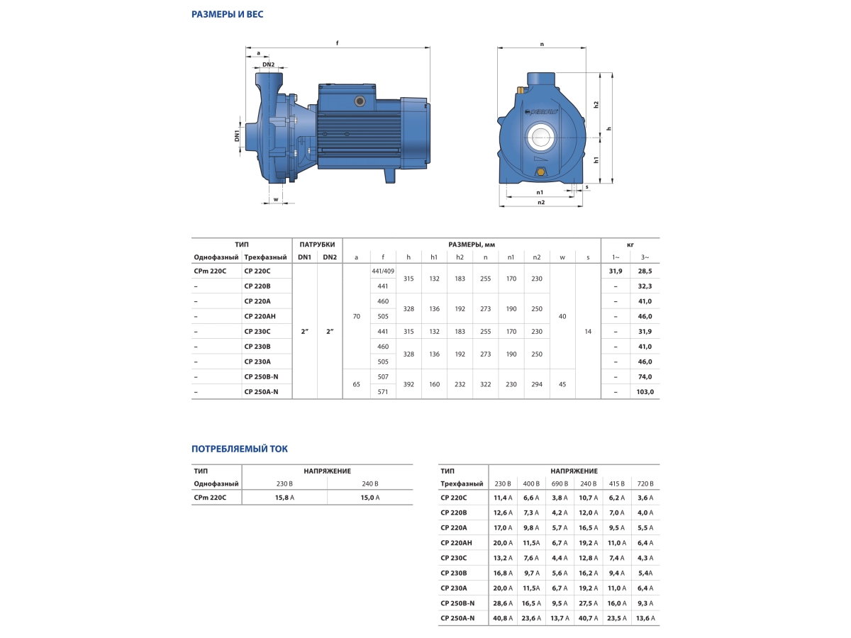 Pompa electrica centrifuga Pedrollo CP 220C
