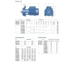 Pompa electrica centrifuga cu doua rotoare Pedrollo 2CPm25/16B (2CP25m/160B)