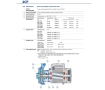 Pompa electrica centrifuga cu doua rotoare Pedrollo 2CPm25/16B (2CP25m/160B)