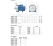 Pompa electrica centrifuga Pedrollo CPm158-ST4 (AISI 304)