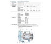 Pompa electrica centrifuga Pedrollo CPm158-ST4 (AISI 304)
