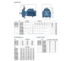 Pompa electrica centrifuga cu doua rotoare Pedrollo 2CPm25/16A