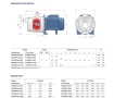 Pompa electrica centrifuga cu mai multe etape Pedrollo PLURIJETm4-100
